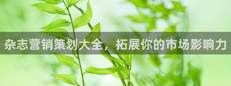 必赢网址谁知道的：杂志营销策划