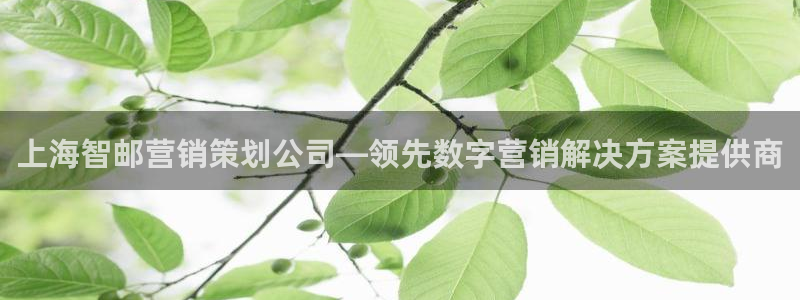 必赢网怎么打不开了