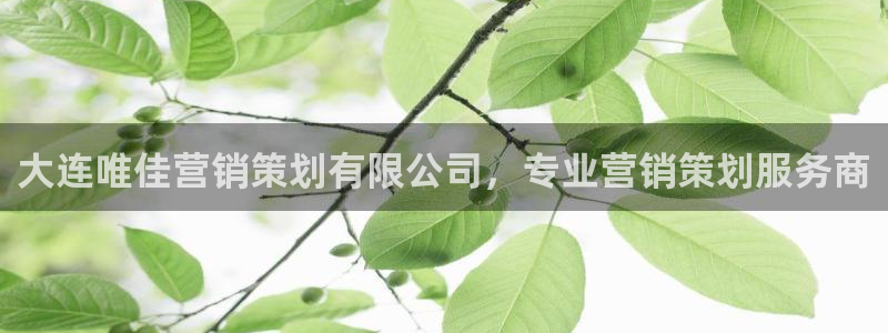 必赢官网app下载安装苹果