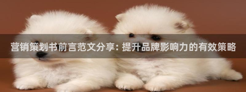 必赢国际怎么样
