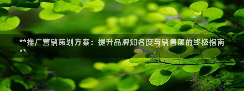 必赢国际软件下载