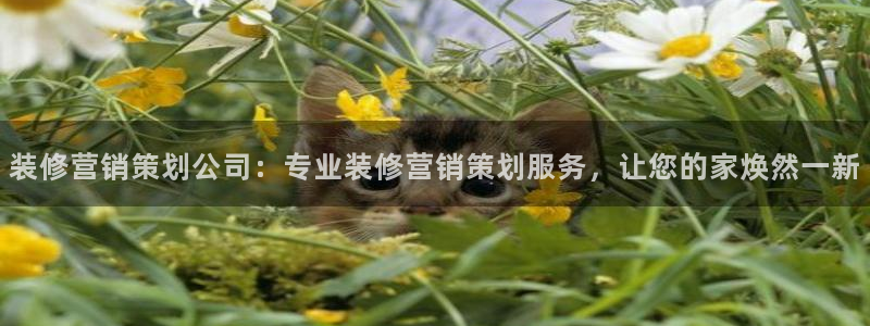 9965必赢游戏网址