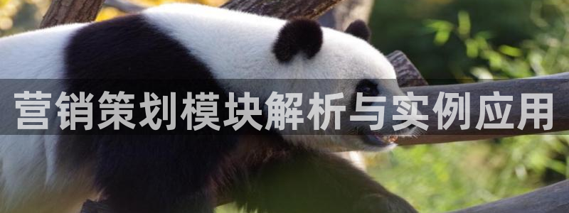必赢九五