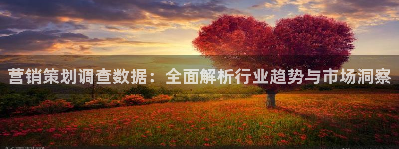 必赢账号