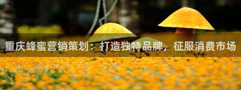 必赢游戏官网