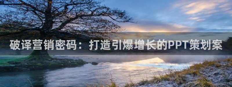 必赢官网网站入口