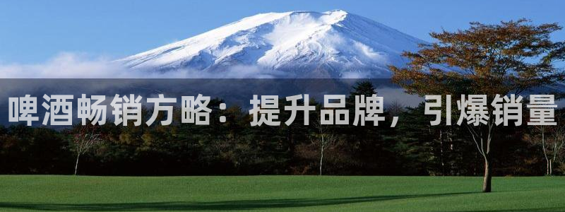 必赢437官网