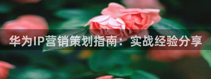 必赢的意思是什么