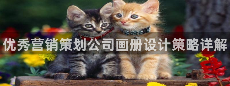 亚洲必赢官网