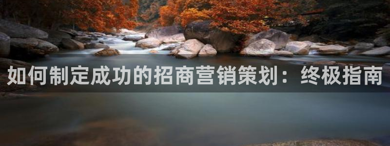 必赢网站是多少啊
