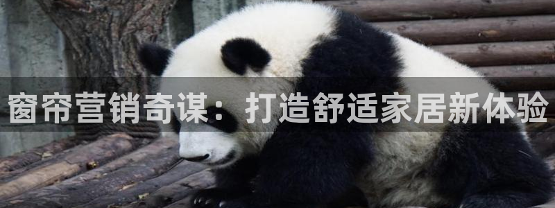 必赢客安卓版