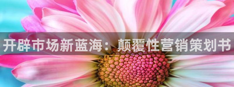 必赢平台网站多少