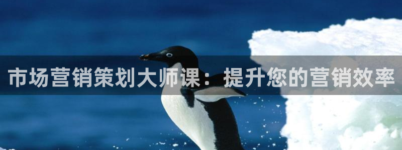 必赢app客户端下载