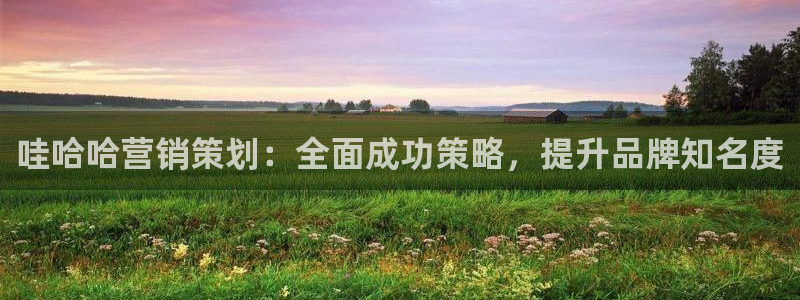必赢下载