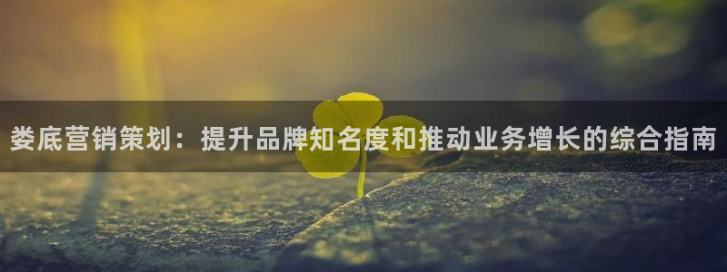必赢3003平台