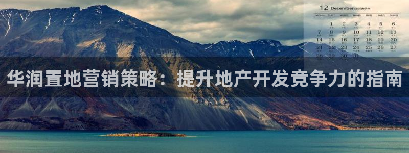 必赢app是干什么的