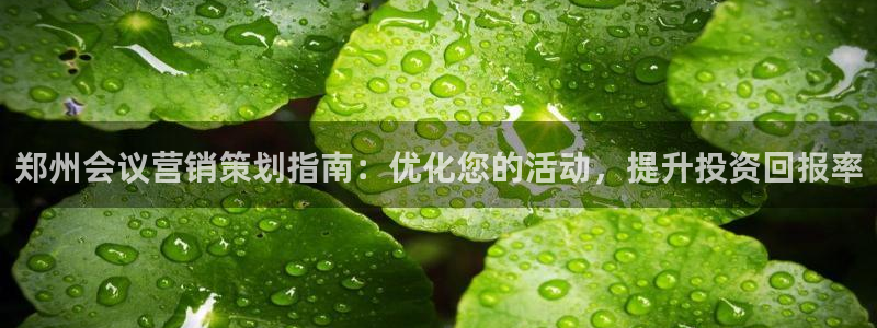 必赢活动iosapp下载