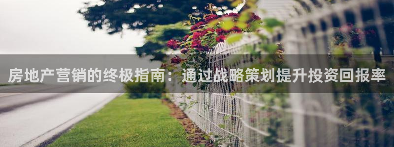 必赢下载安卓版下载