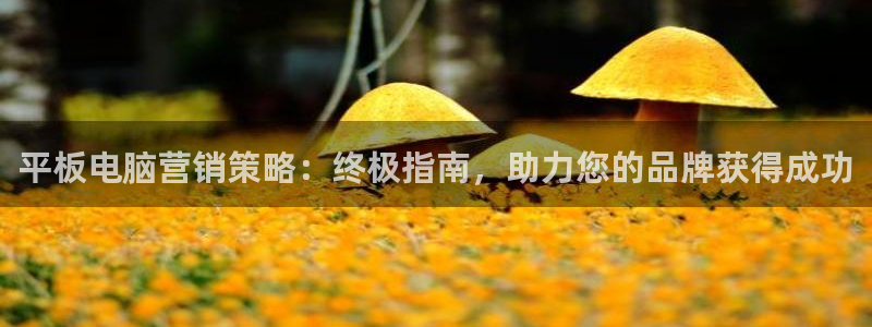 必赢官网app下载苹果版