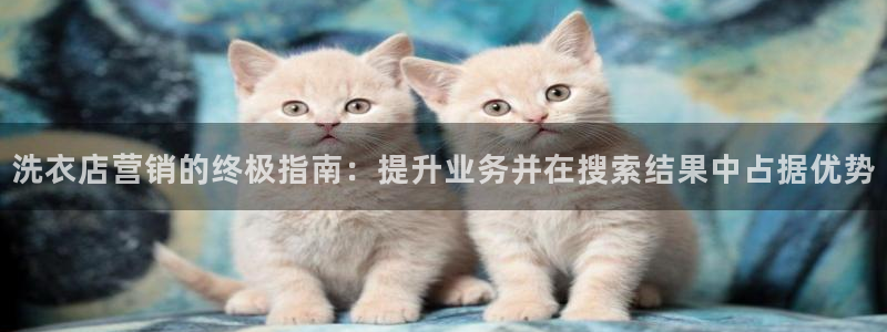 必赢下载苹果手机app