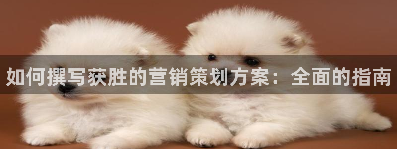 必赢棋盘app下载官网
