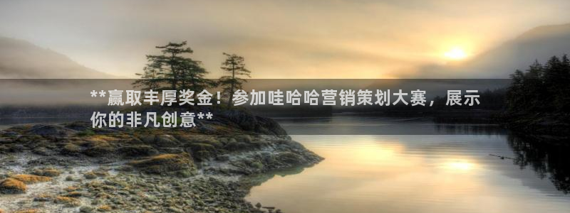 必赢集团网站是什么