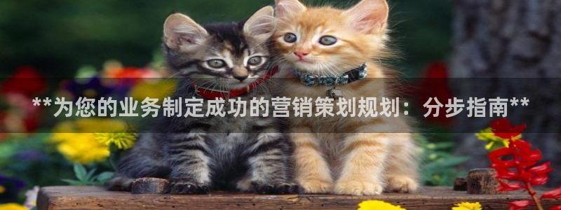 必赢网站打不开
