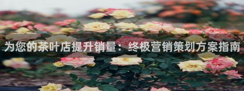 必赢网怎么打不开了呀