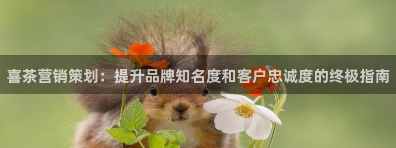 必赢集团winex