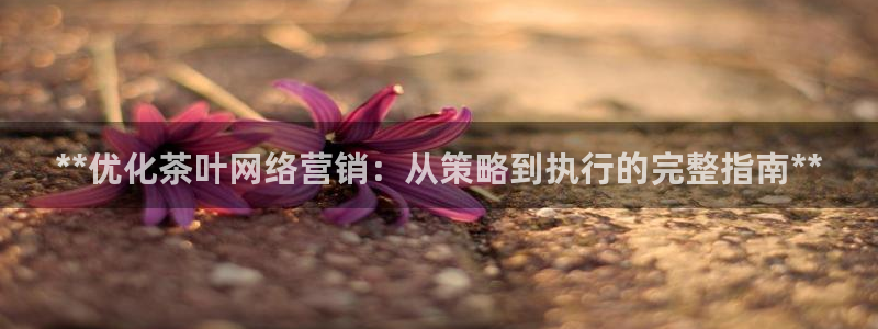 必赢3003网官