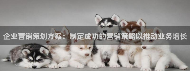 必赢账号