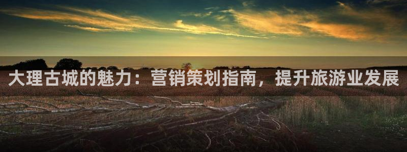必赢手机app下载官网最新版