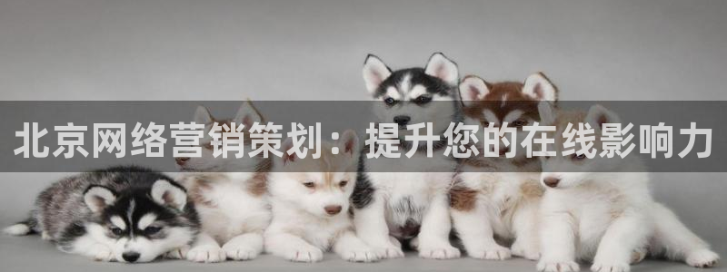 9965必赢棋官方网站2.5.10