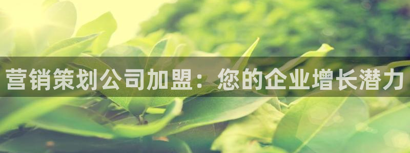 必赢棋盘app下载