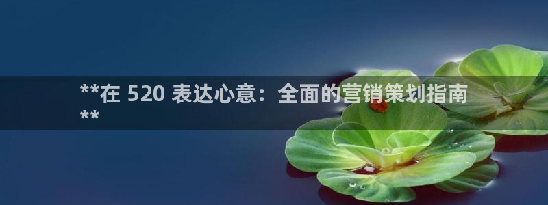 必赢国际技巧