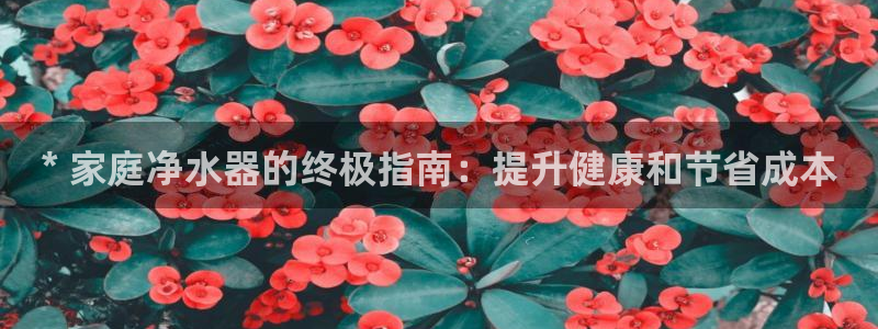 必赢网站充值是真的吗