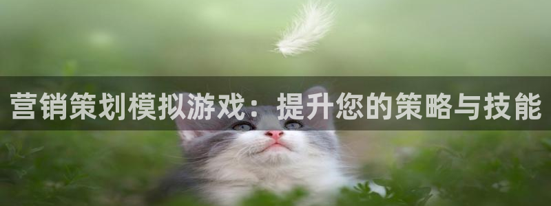必赢下载