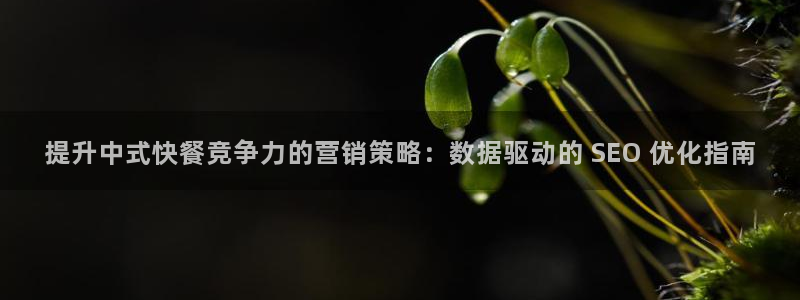 必赢下载苹果手机app