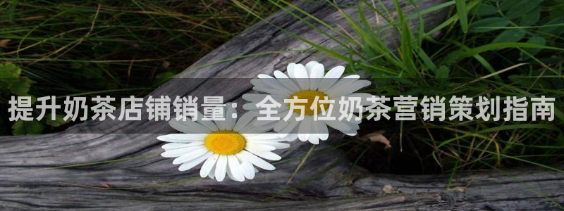 必赢科技北京有限公司