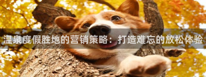 必赢公司