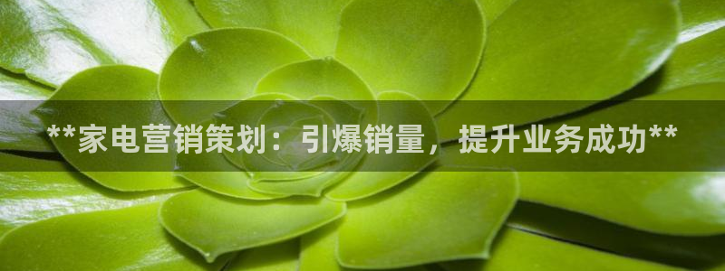 必赢国际技巧