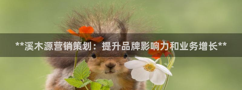 必赢官网下载安装