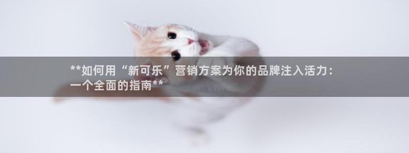 必赢手机app下载最新版本安卓苹果