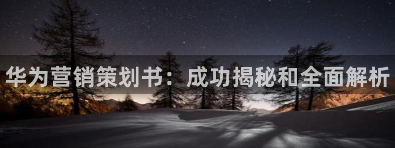 必赢网站打不开