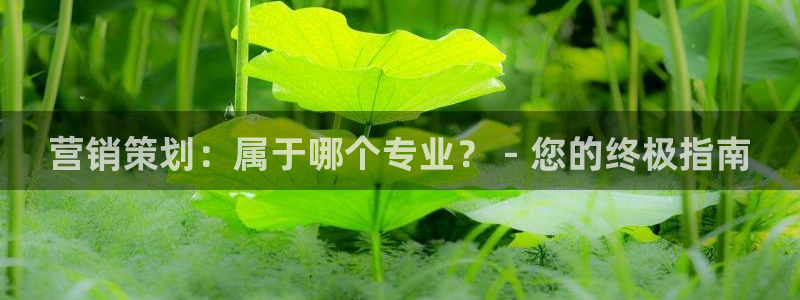 必赢科技中国有限公司