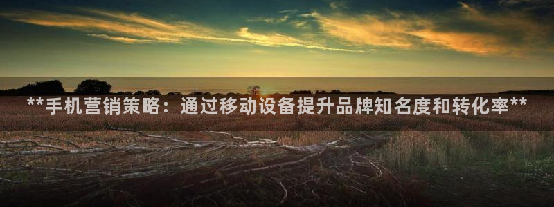 必赢网站网址是多少