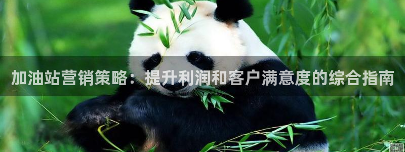 必赢565net官网