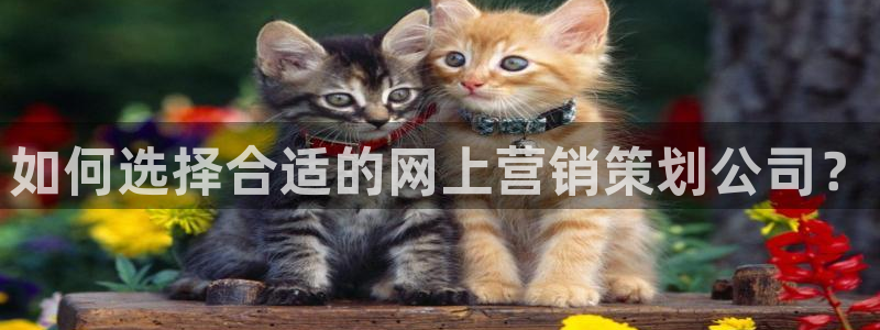 必赢网址手机主页怎么设置