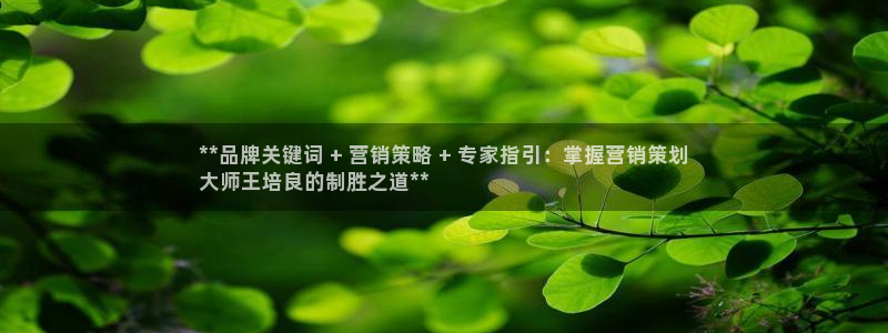 必赢官网网站入口网址