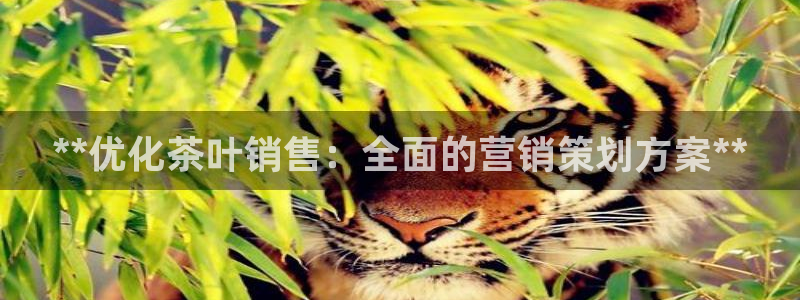 必赢手机app下载安装最新版